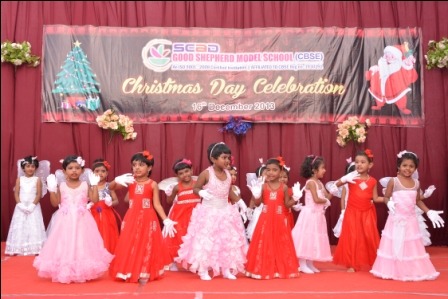 Goodshephered model school