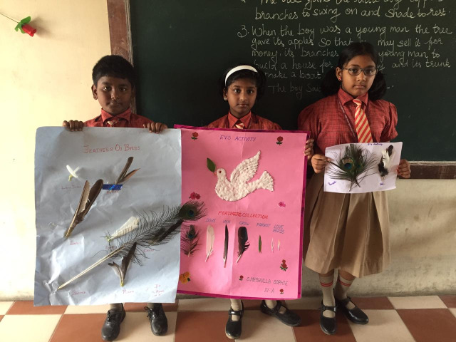 Science Club Activity-November 2018