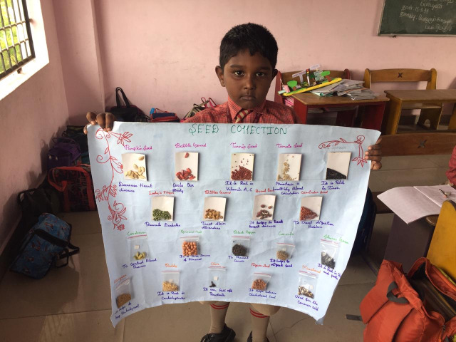 Science Club Activity-November 2018