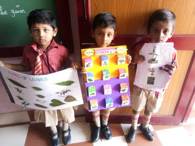 Science Club Activity-November 2018