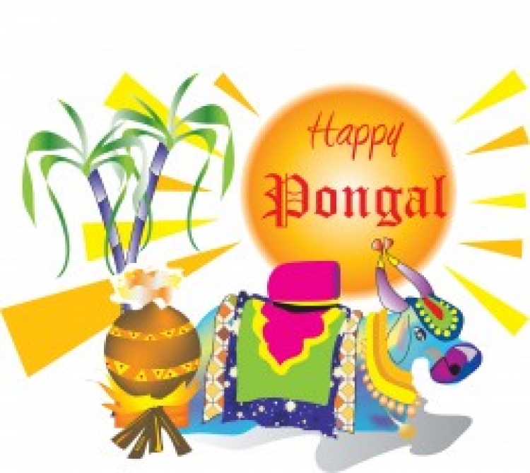 Pongal Celebrations