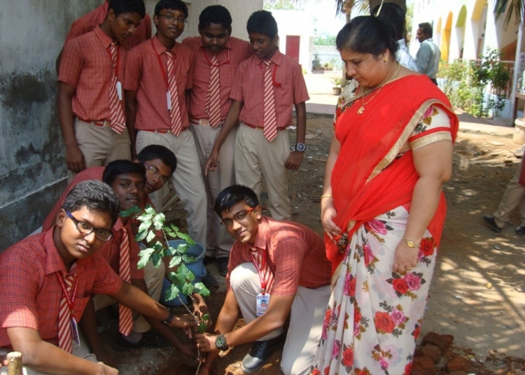 Tree plantation programmes